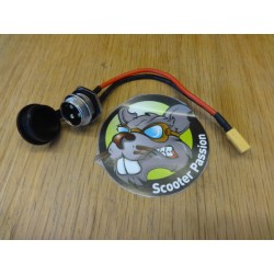 Connecteur et câblage de...