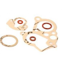 Pochette de joints Dellorto...