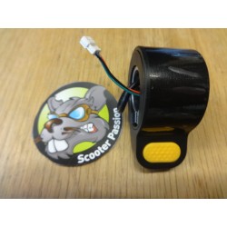 accélérateur trottinette électrique Ninebot G30 Max Belgique France