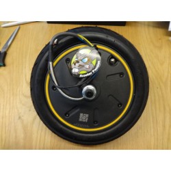 motor wiel elektrische step ninebot G30 Max original Ninebot belgie nederland