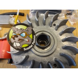 rotor allumage électronique bgm belgique france