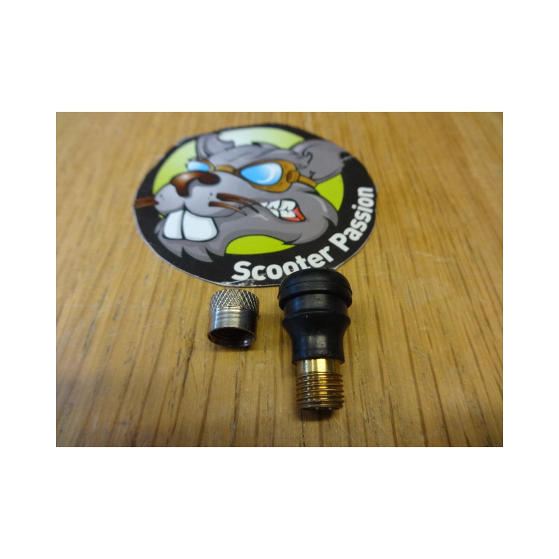 Valve pneu tubeless Ninebot G30