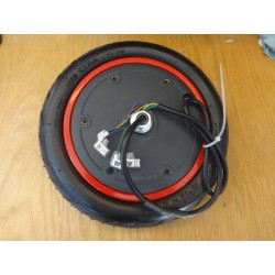 roue moteur trottinette xiaomi m365 pro belgique à vendre