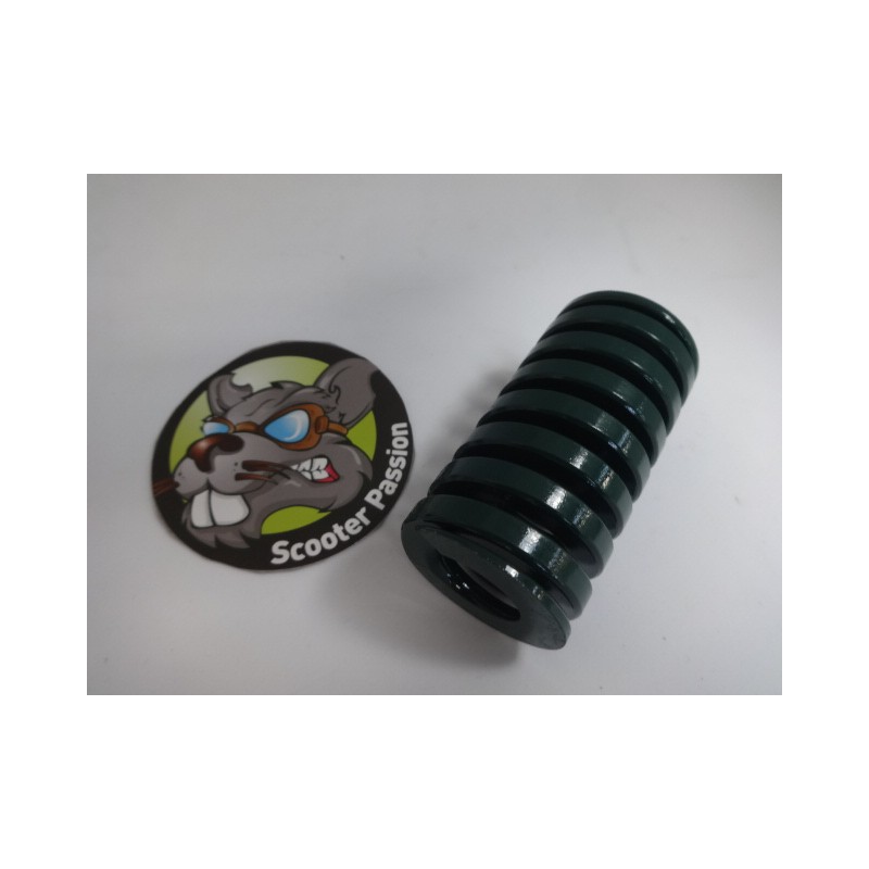 ressort suspension kaabo mantis renforcé