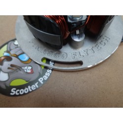 stator pinasco vespa flytech