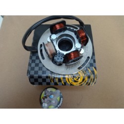 stator plateau d'allumage vespa flytech