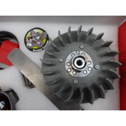 onsteking 12V Lambretta LI TV SX