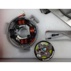 kit allumage avance variable Lambretta LI TV SX belgique