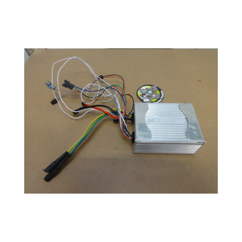 controler dualtron X Minimotors te koop belgie