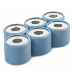 billes variateur vespa GT 200 GTS 250 à vendre en belgique