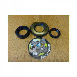 Kit de joints spiralés pour...