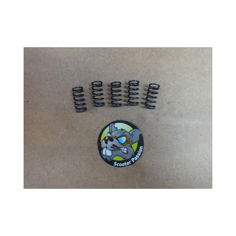 Kit Ressorts d'embrayage Gori Lambretta Serie 1, 2, 3, GP/DL, Junior 125cc chez scooter passion