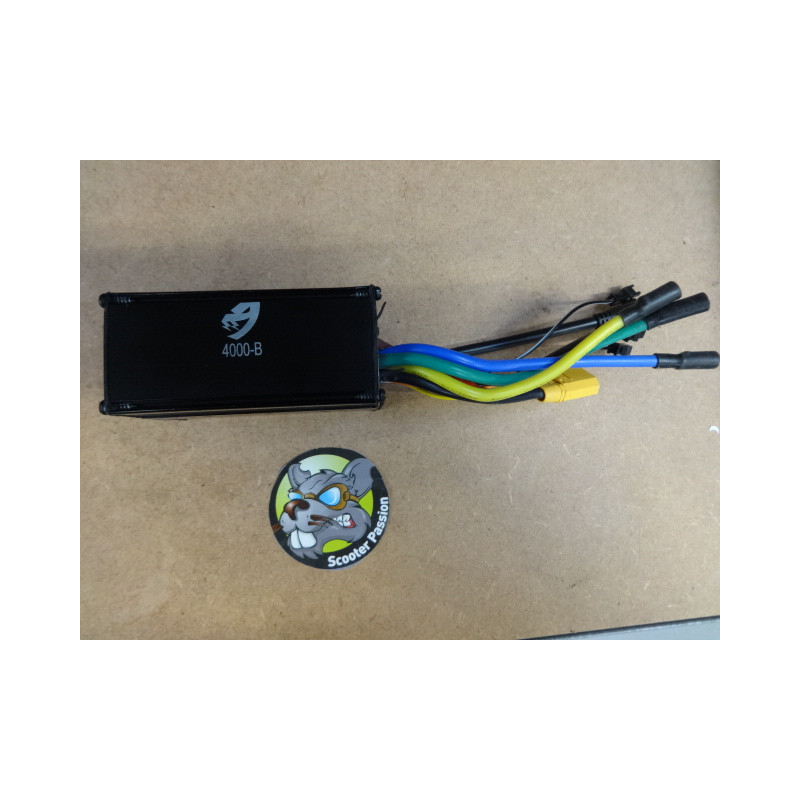 elektrische step nami burne controler