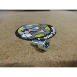 Vis alen pour fixation de caches latéraux Minimotors Thunder, Victor, Leger, Achilleus,...