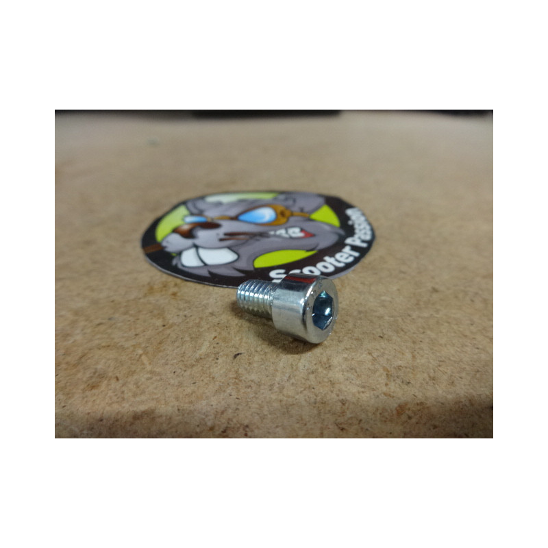 Vis alen pour fixation de caches latéraux Minimotors Thunder, Victor, Leger, Achilleus,...