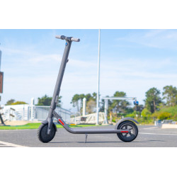 Elektrische step Ninebot Segway E22 te koop belgie