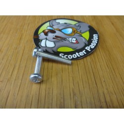 vijs montage carello achterlicht lambretta li tv sx belgie te koop