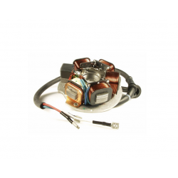 onsteking grondplaat vespa AEL