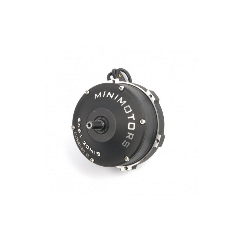 Motor eletrische step Minimotors Victor en Bluetran