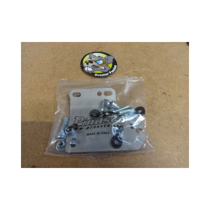 Steun voor onsteking bobijn CDI Flytech Pinasco