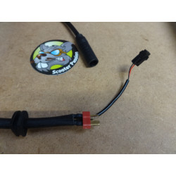 Controler elektrische step...