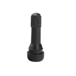 Ventiel tubeless band elektrische step Nami Klima