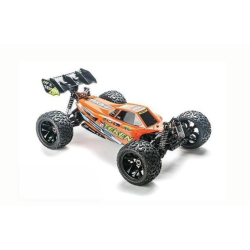 Voiture RC Truggy Team...