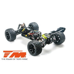 team magic voiture rc belgique