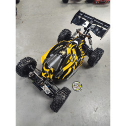 buggy rc 1/8 team magic liege
