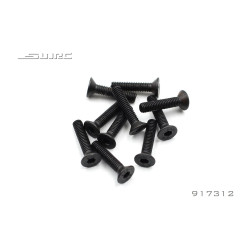 Set 10 schroeven M3x12 RC...