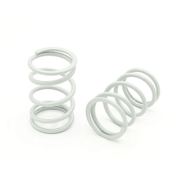 Kit 2 ressorts amortisseur voiture rc 1/5 Genius XR4.22 - PROGESSIVE - SILVER