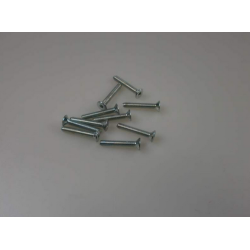 Set 10 schroeven TSEI M4x16 rc auto Genius XR4