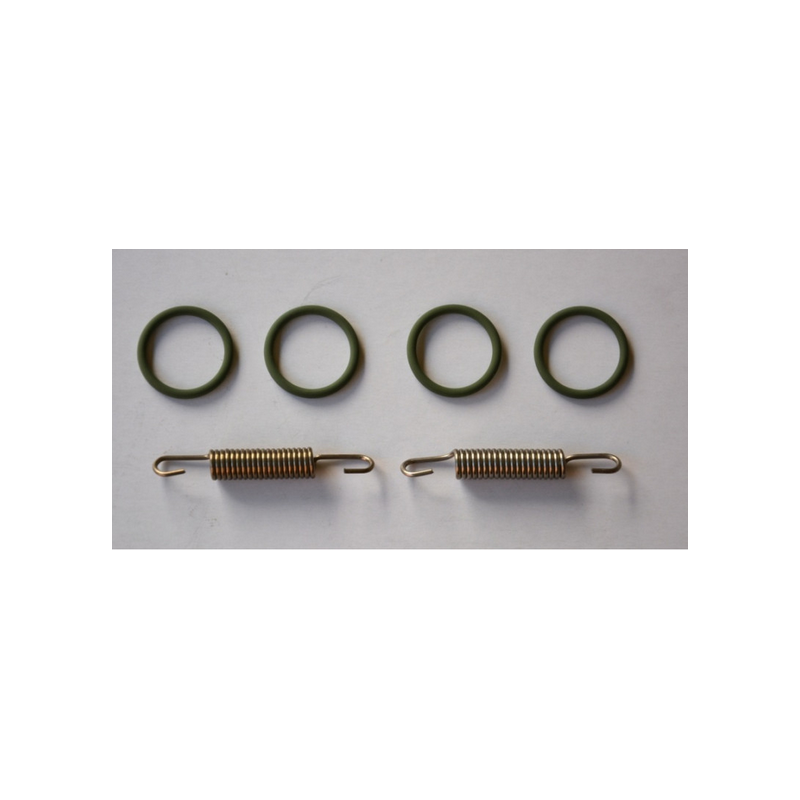 Set 4 oring + 2 veren dicthing uitlaat SAMBA 7 rc auto 1/5 TC