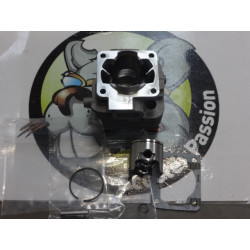 Kit cylindre piston moteur Zenoah Tunde GT225