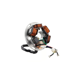 Stator d'allumage Vespa Cosa 125-200 à vendre magasin pièces détachées belgique france