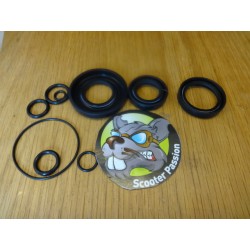 dichtingset vespa v50 primavera krulas 19/20 te koop belgie