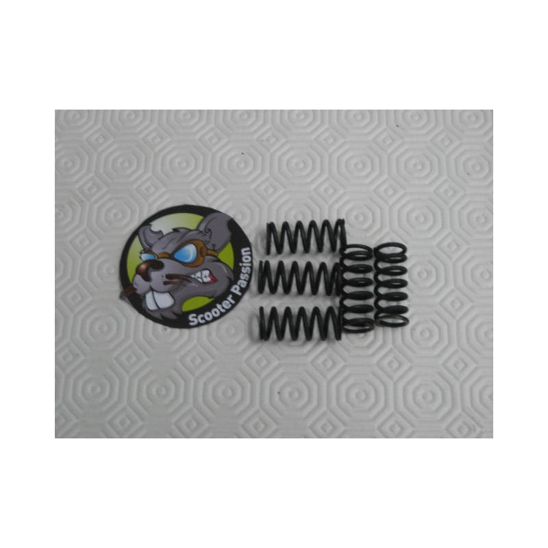 Ressorts d'embrayage Lambretta Serie 1, 2, 3, GP/DL, Junior 50 et 100cc, Lui scooterpassion Belgique France