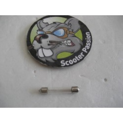 festoon licht 12V 10W