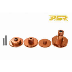 Kit de réparation servo  POWERSTAR PM-8509S