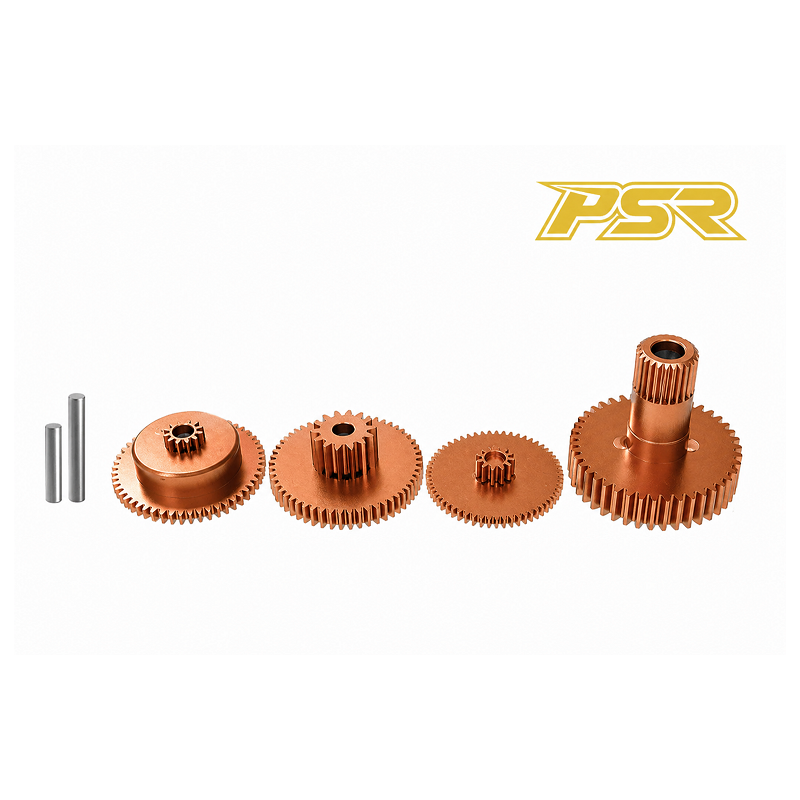 Kit de réparation servo  POWERSTAR PM-8509S