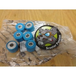 rouleaux galets variateur 7,2 gr vespa GTS 125 belgique france vendre