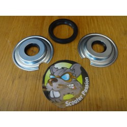 dichting motor vespa GS 150