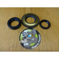 Kit de joints spiralés...