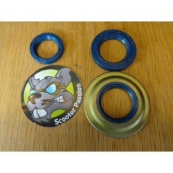 Kit de joints spiralés...