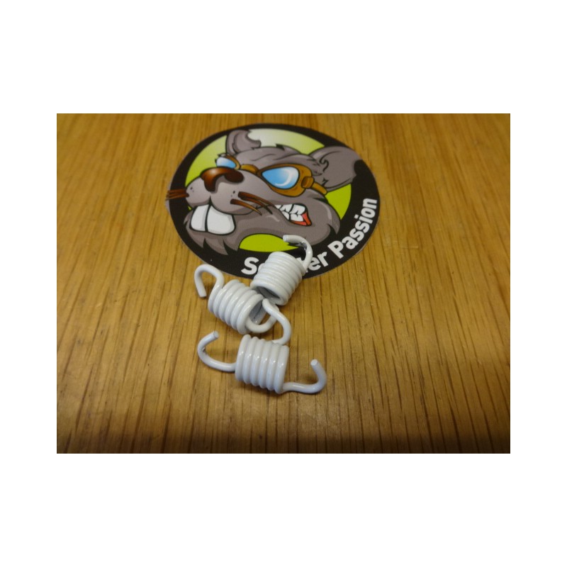 veren vespa koppeling malossi vespa gt gts gtv