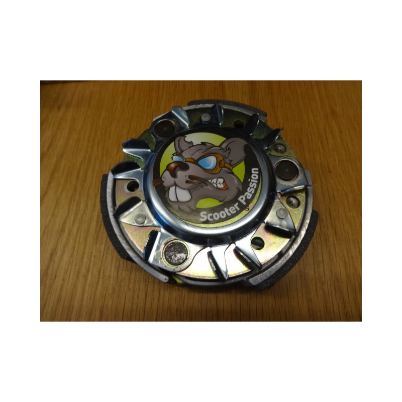 Koppeling PIAGGIO Vespa GTS/GTS Super/GTV /GT 60° 250 en 300c