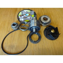 Kit de révision de pompe à...