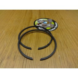 Kit 2 segments Polini Ø 63x 2 mm pour cylindre Vespa PX 177cc chez scooter passion