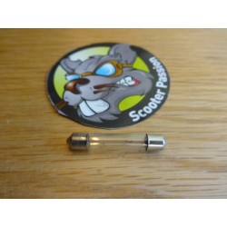 Festoon licht 6V 5W vespa lambretta scooter