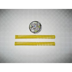 TOURING GEREINIGDE voorvorkveren - Lambretta Serie 1, 2, 3, GP/DL bij scooter passion in belgië